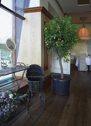 Предметы интерьера из дерева для ресторана Шаляпин  дачный